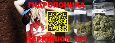прущая мука Будённовск